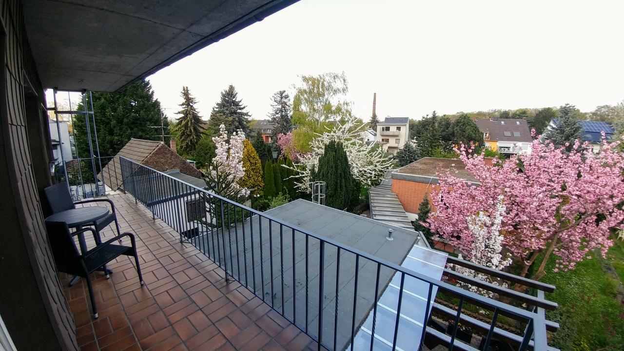 Hotel Wilms 科隆 外观 照片